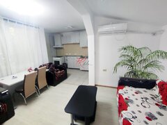 Tei, inchiriere apartament 2 camere in vila, pet friendly